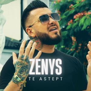Listen to Te astept song with lyrics from ZENYS