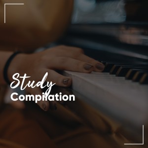 Exam Study New Age Piano Music Academy的專輯Perfect Study Compilation