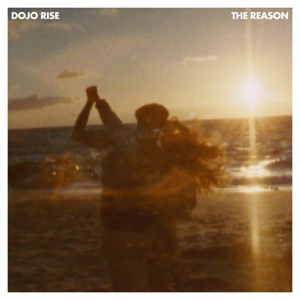 The Reason (Inkswel Remix)