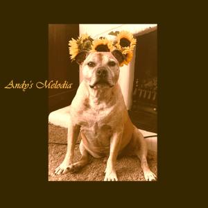 收聽Jon House的With You歌詞歌曲