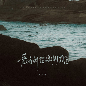 Album 爱将我往深渊里推 from 董子龙