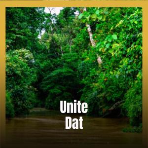 Dengarkan First Forests lagu dari Roie Bobz dengan lirik