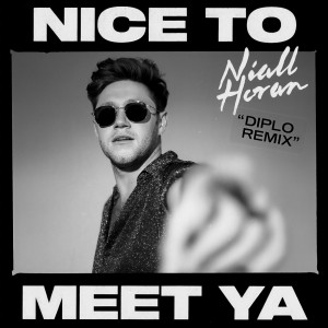 收聽Niall Horan的Nice To Meet Ya (Diplo Remix)歌詞歌曲