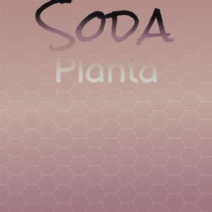 Album Soda Planta from Various