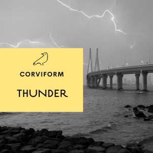 收听Corviform的Thunder歌词歌曲