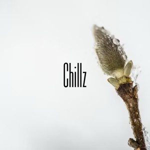 Album Delta-Wave Bud oleh Chillz
