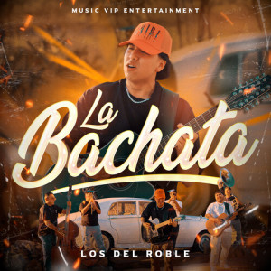 Listen to La Bachata song with lyrics from Los del roble