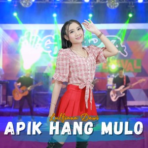 Apik Hang Mulo