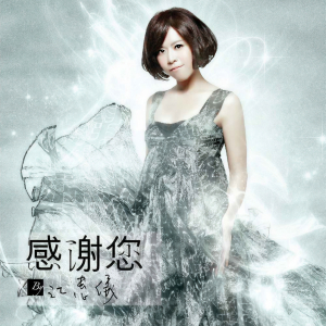 Album 感谢您 from 江蕙仪