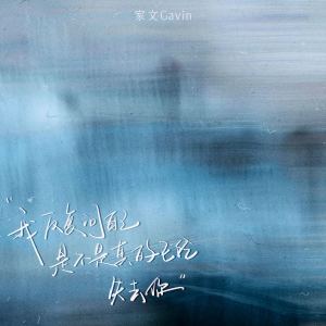 Listen to 我反复问自己是不是真的已经失去你 song with lyrics from 家文Gavin