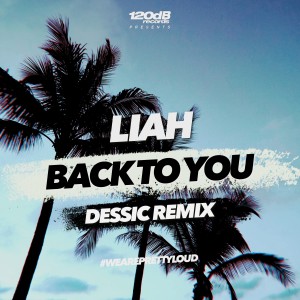 Listen to Back To You (Dessic Remix) song with lyrics from Liah