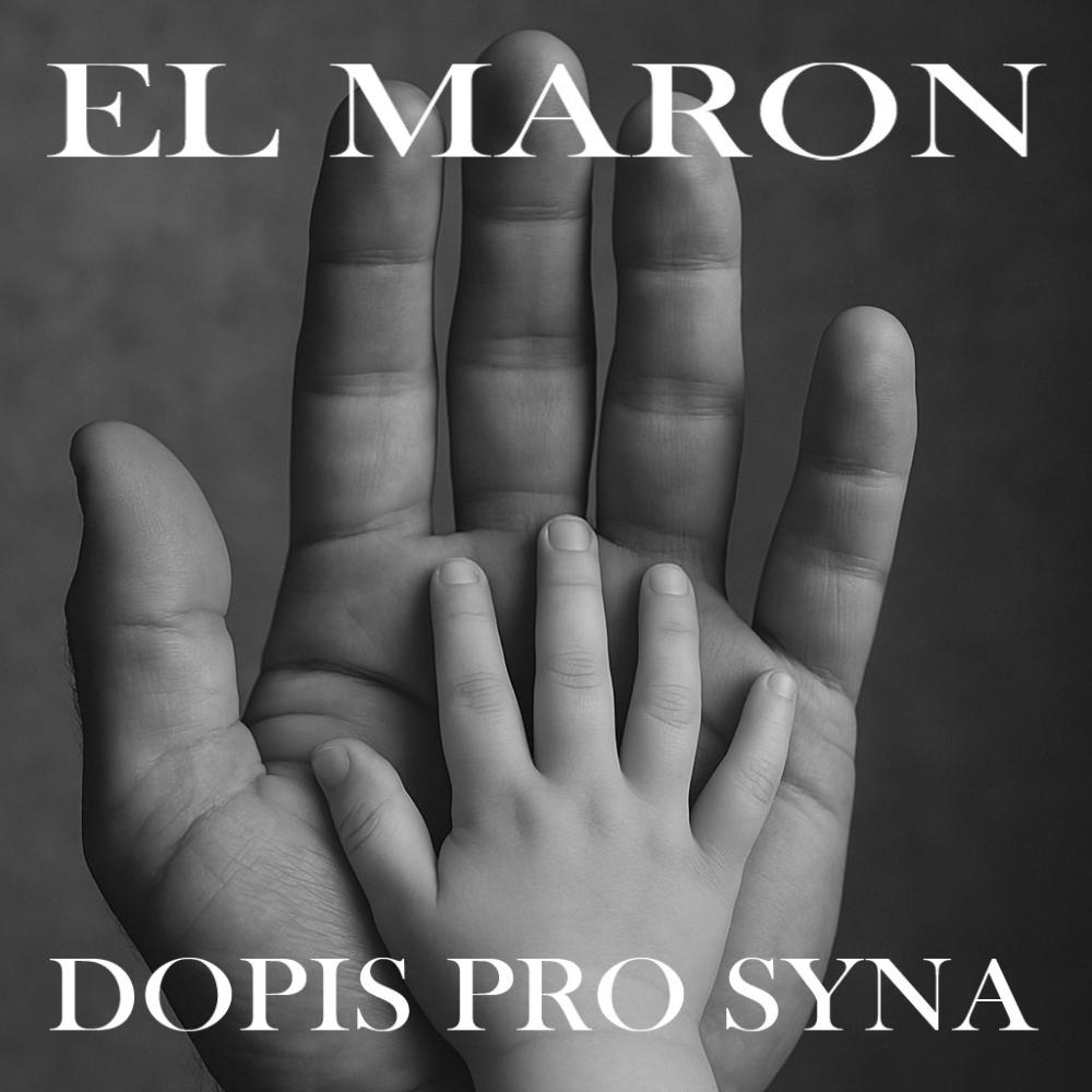 Dopis pro syna (feat. DJ Flux)