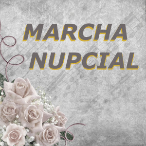 Listen to Marcha nupcial (pianístico) song with lyrics from Marcha Nupcial