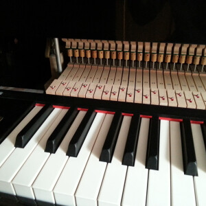 ดาวน์โหลดและฟังเพลง 好听的旋律 พร้อมเนื้อเพลงจาก 刘宇