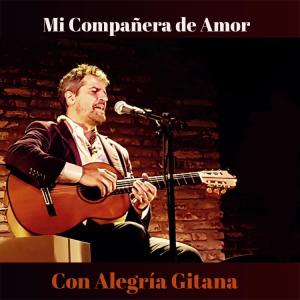 Listen to Mi Compañera de Amor song with lyrics from Patricio Gimenez