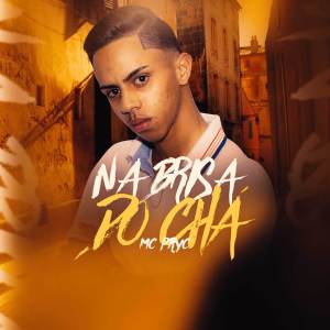 收聽Mc Pryc的Na Brisa do Chá歌詞歌曲