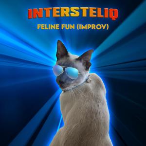 ดาวน์โหลดและฟังเพลง Feline Fun (Improv) พร้อมเนื้อเพลงจาก IntersteliQ