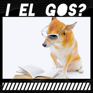 ดาวน์โหลดและฟังเพลง I El Gos? พร้อมเนื้อเพลงจาก Javier Castillo