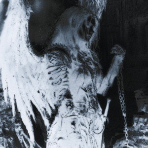 Album euphoria tears from stvvpidd