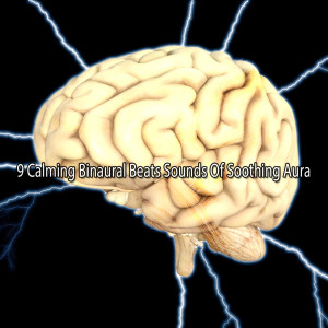 Album 9 Calming Binaural Beats Sounds Of Soothing Aura from Binaural Beats Brainwave Entrainment