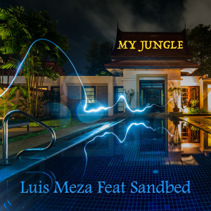 Luis Meza的專輯My Jungle