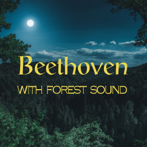 Dengarkan lagu Beethoven ： Piano Sonata No.5 In C Minor Op.10-1 - II. Adagio Molto nyanyian Nature Classic dengan lirik