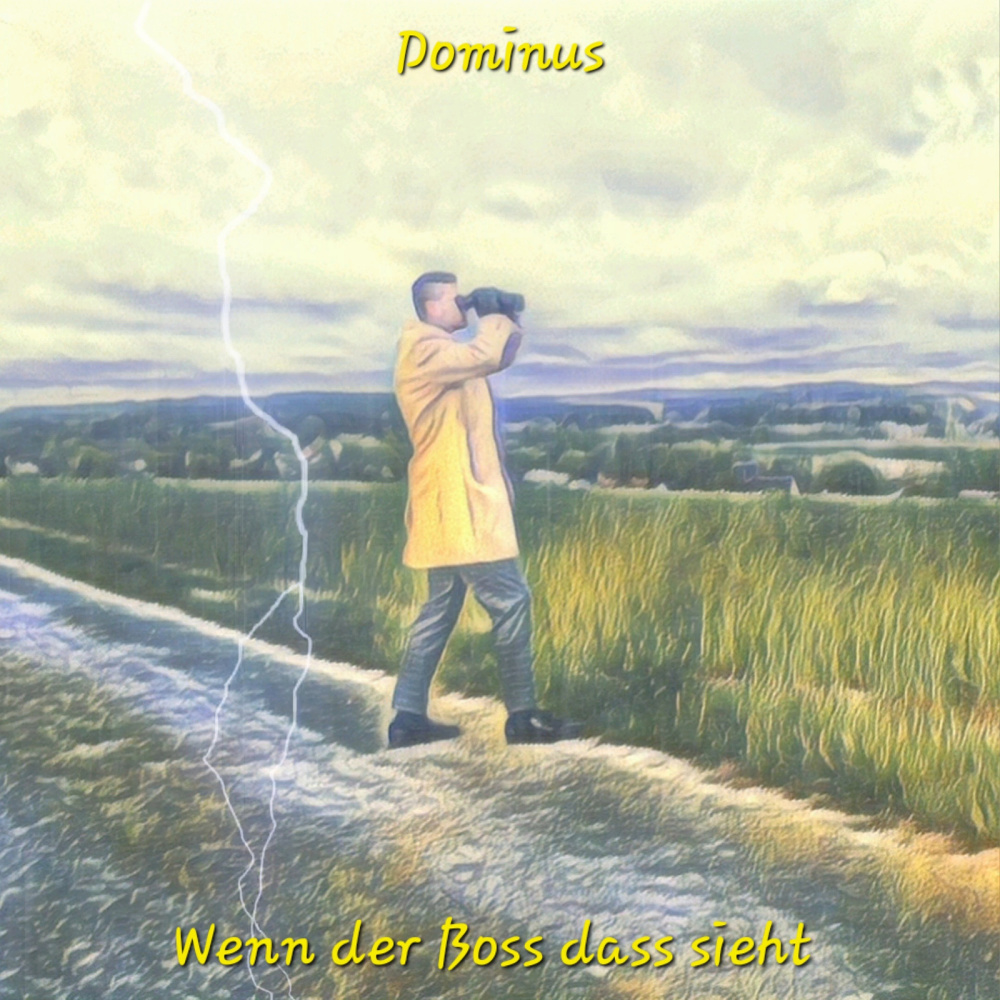 Wenn Der Boss Das Sieht