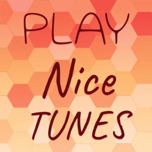 Various Artists的專輯Play Nice Tunes