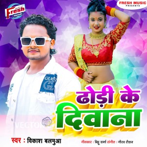 Listen to Dhodi Ke Deewana song with lyrics from Vikash Balamua