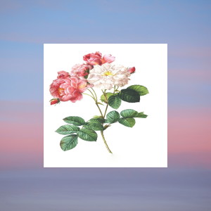 Album 별이 빛나는 밤에, 꿈을 수놓은 저녁의 편안한 수면을 위한 심신평온 피아노자장가 뉴에이지 9 from 평온한 자장가