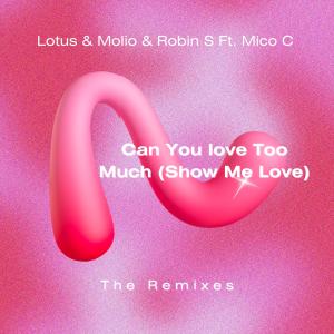 ดาวน์โหลดและฟังเพลง Can You love Too Much (Show Me Love) {feat. Mico C} (Wolffman & Nicky Louwers Extended Mix) พร้อมเนื้อเพลงจาก Robin S