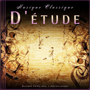 ดาวน์โหลดและฟังเพลง Canon in D - Pachelbel - Étude พร้อมเนื้อเพลงจาก Musique Classique