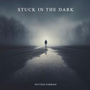 Peyton Parrish的專輯Stuck In The Dark
