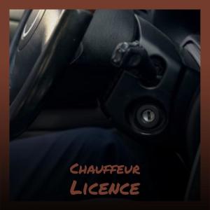 Album Chauffeur Licence from Various Artists