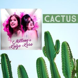 Album Cactus from Millena