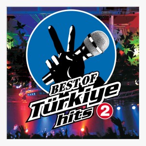 收聽Ali Erenus的Wonderful Life歌詞歌曲