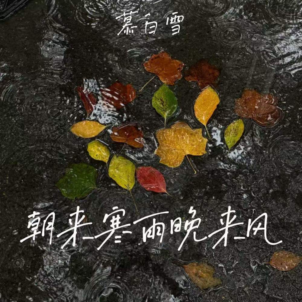 朝来寒雨晚来风 (求到最后一场空)