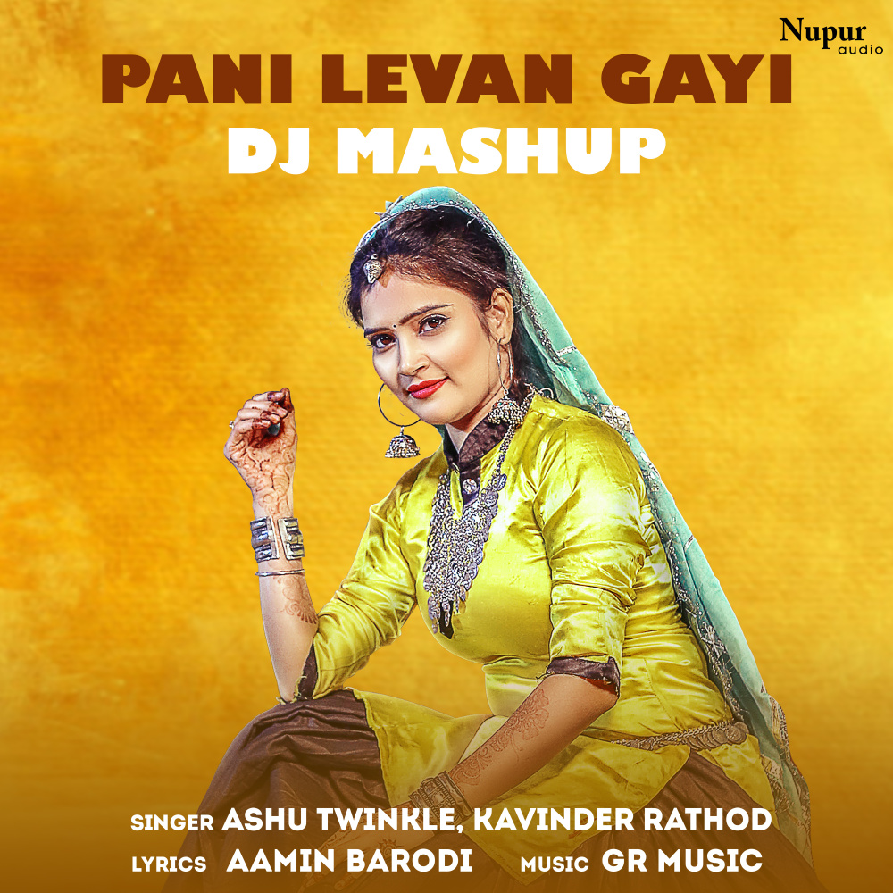 Pani Levan Gayi (Dj Mashup)