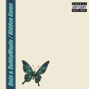 Album Hidden Gems from 