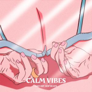 Chillhop的專輯Calm Vibes - Lofi Hip Hop Beats