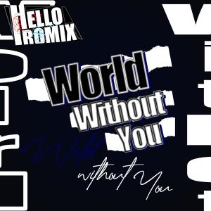 HelloROMIX的專輯A World Without You
