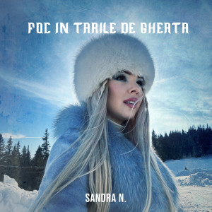 Listen to Foc în țările de gheață song with lyrics from Sandra N.