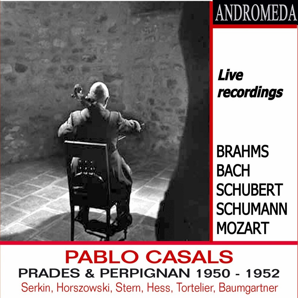 Piano Trio No. 1 in D Minor, Op. 63: IV. Mit Feuer (Live)