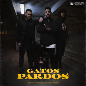 收聽Percless的Gatos Pardos (Explicit)歌詞歌曲