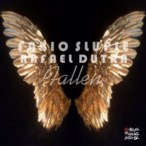 Listen to Fallen (Elias Rojas Remix) song with lyrics from Fabio Slupie