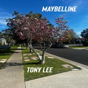 Album Maybelline oleh Tony Lee