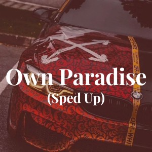 Dengarkan lagu Own Paradise (Sped Up) nyanyian DJ Abreu dengan lirik