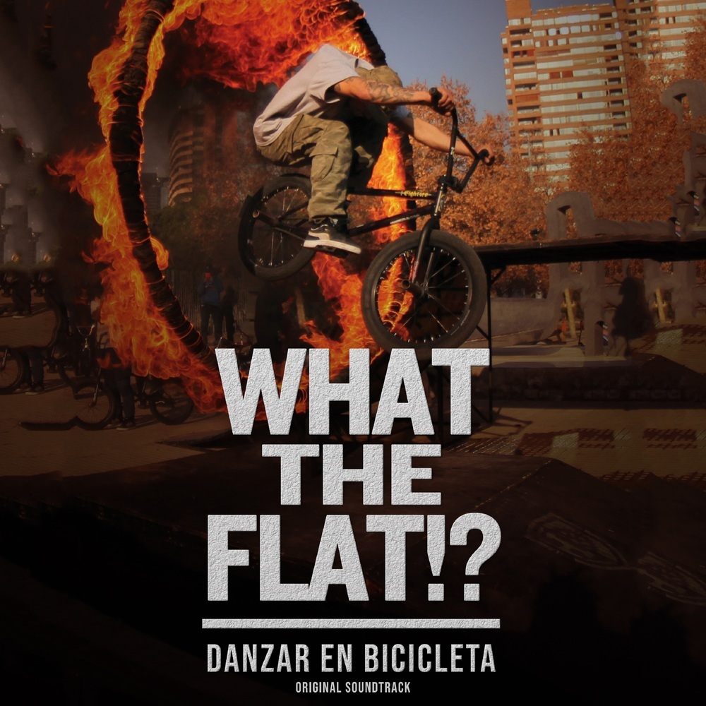 WHAT THE FLAT!?