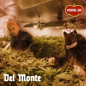ดาวน์โหลดและฟังเพลง JUELZ SANTANA พร้อมเนื้อเพลงจาก ORANGE FOX