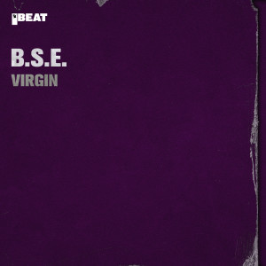 收聽B.S.E.的A Right 2B Wrong歌詞歌曲